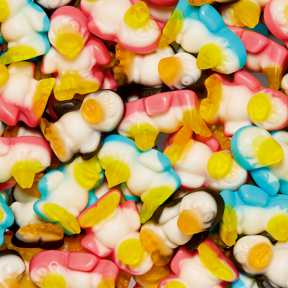 Pingouins assortis couleur 