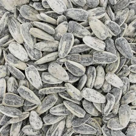 Graines de tournesol Pipas