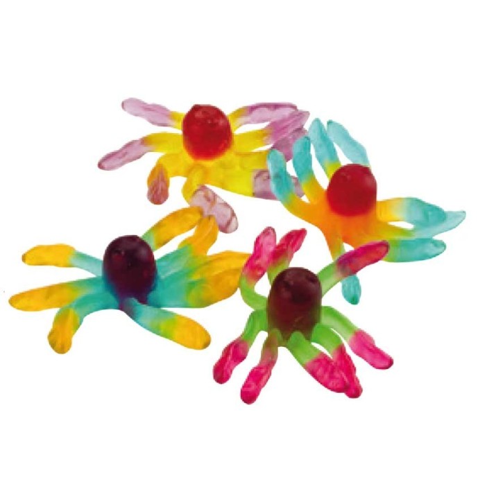 Octopus trolli